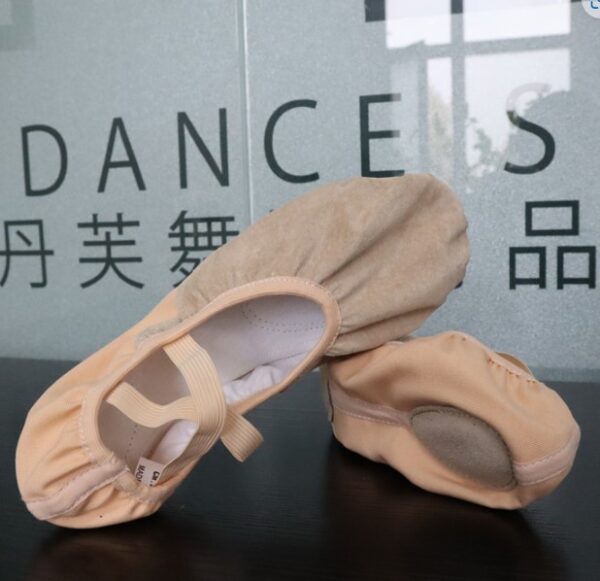 Dance life chaussons spéciaux sol dur C5031